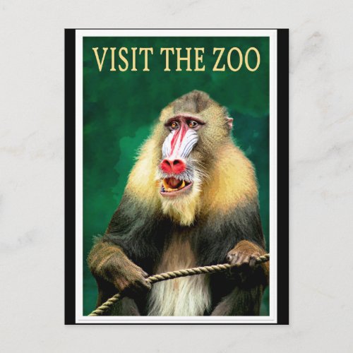 Visit the Zoo vintage travel poster Postcard