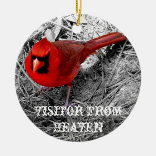 Visitor From Heaven Ceramic Ornament