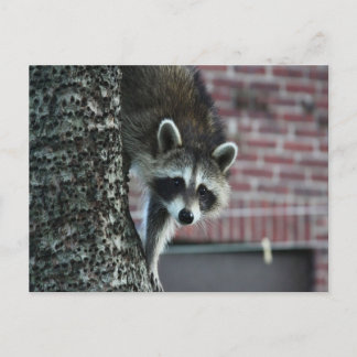Visitor Postcard