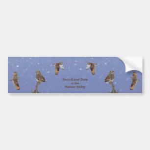 Visitors of the Grasslands: Short-Eared Owls Bumper Sticker
