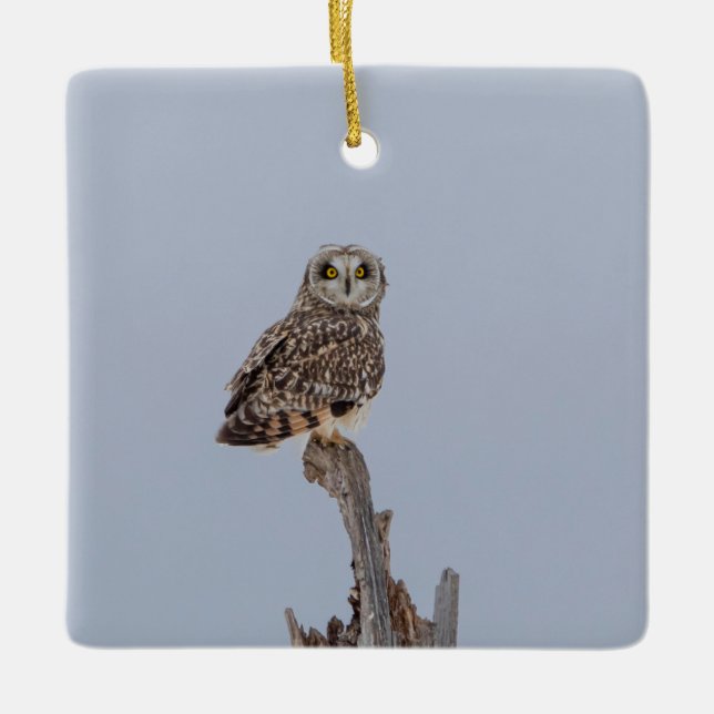 Visitors of the Grasslands: Short-Eared Owls Ceramic Ornament (Front)