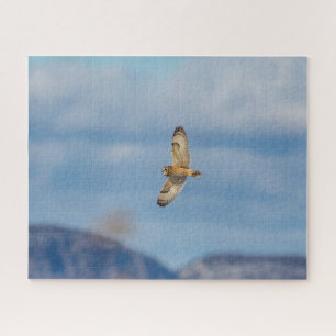Visitors of the Grasslands: Short-Eared Owls Jigsaw Puzzle