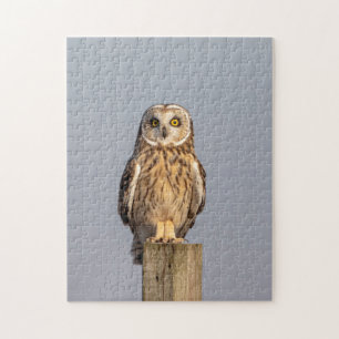 Visitors of the Grasslands: Short-Eared Owls Jigsaw Puzzle
