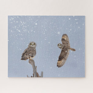 Visitors of the Grasslands: Short-Eared Owls Jigsaw Puzzle