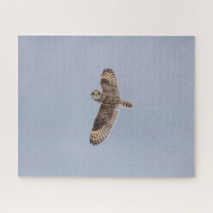 Visitors of the Grasslands: Short-Eared Owls Jigsaw Puzzle