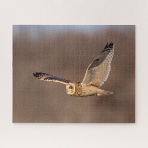 Visitors of the Grasslands: Short-Eared Owls Jigsaw Puzzle