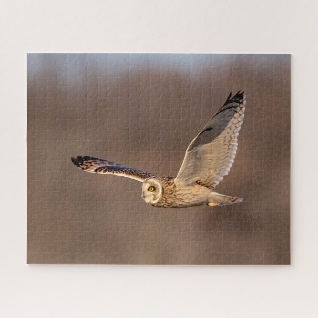 Visitors of the Grasslands: Short-Eared Owls Jigsaw Puzzle (Horizontal)