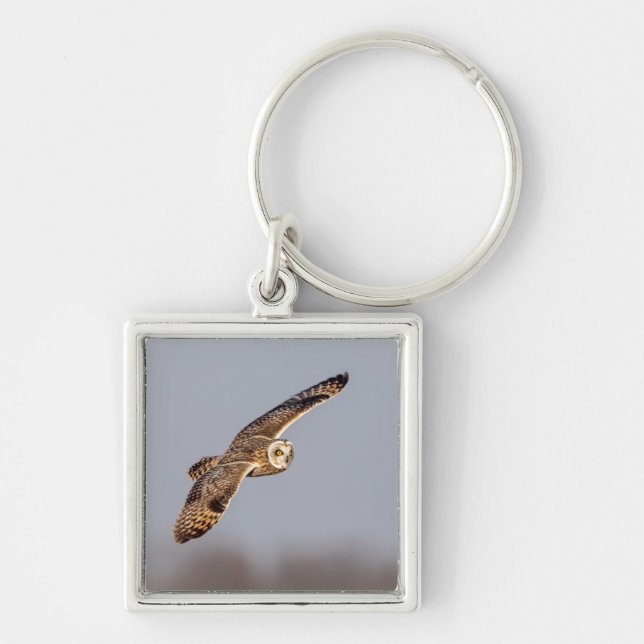 Visitors of the Grasslands: Short-Eared Owls Keychain (Front)