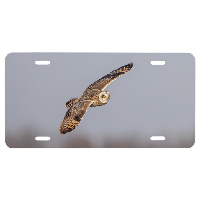 Visitors of the Grasslands: Short-Eared Owls License Plate (Front)