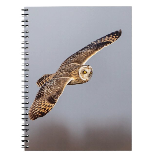 Visitors of the Grasslands: Short-Eared Owls Notebook (Front)