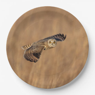 Visitors of the Grasslands: Short-Eared Owls Paper Plates