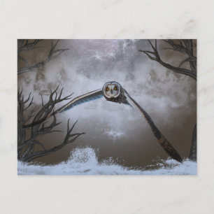 Visitors of the Grasslands: Short-Eared Owls Postcard