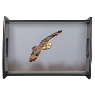 Visitors of the Grasslands: Short-Eared Owls Serving Tray