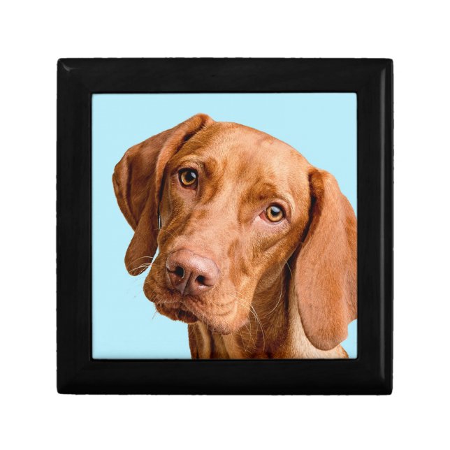 Visla Trinket Box (Front)