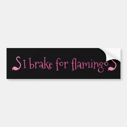 Visual Fun I Brake for Flamingos Pink Birder Birds Bumper Sticker