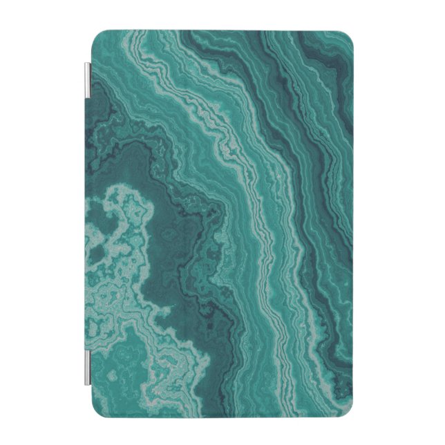 Visual ipad 11 inch case (Front)