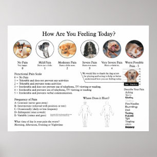Visual Pain Scale Poster Wall Chart