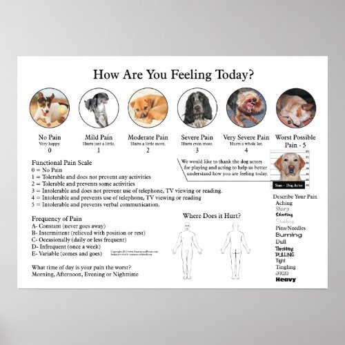 Visual Pain Scale Poster Wall Chart