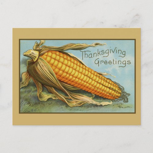 Vitage Retro Thanksgiving Corn Greetings Holiday Postcard