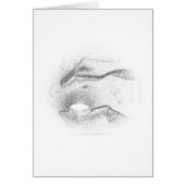 Vital energy (Front)