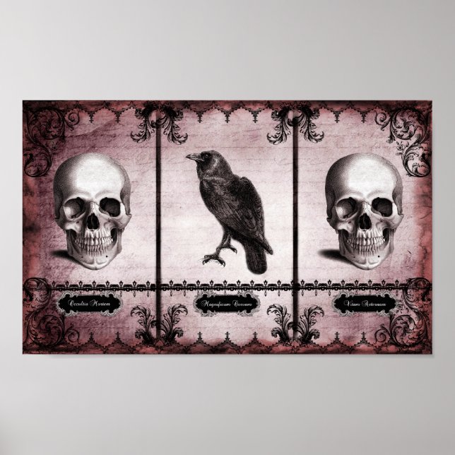 Vitam Aeternam Poster (Front)