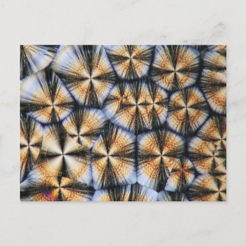 Vitamin C crystals under the microscope Postcard