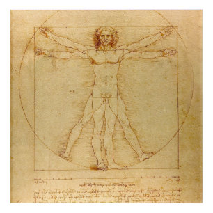 Vitruvian Man by Leonardo Da Vinci Acrylic Print