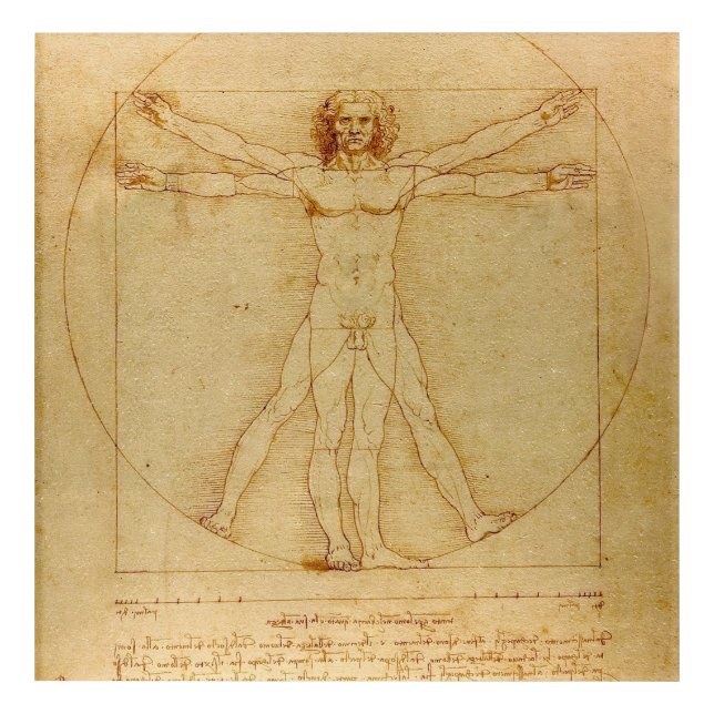 Vitruvian Man by Leonardo Da Vinci Acrylic Print (Front)