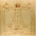 Vitruvian Man by Leonardo Da Vinci Cutout<br><div class="desc">Vitruvian Man by Leonardo Da Vinci.</div>