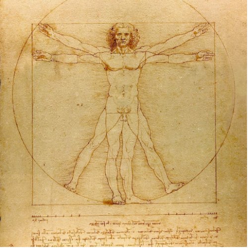 Vitruvian Man by Leonardo Da Vinci Cutout