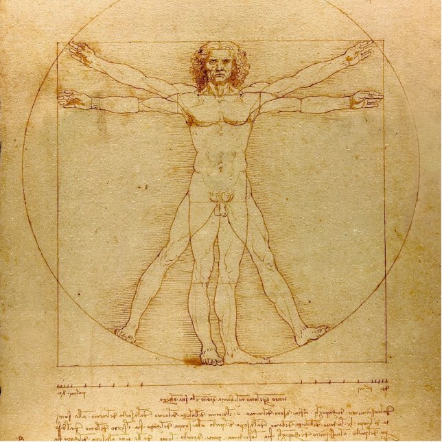 Vitruvian Man by Leonardo Da Vinci Cutout (Front)