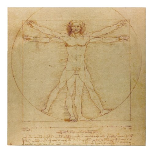 Vitruvian Man by Leonardo da Vinci Faux Canvas Print