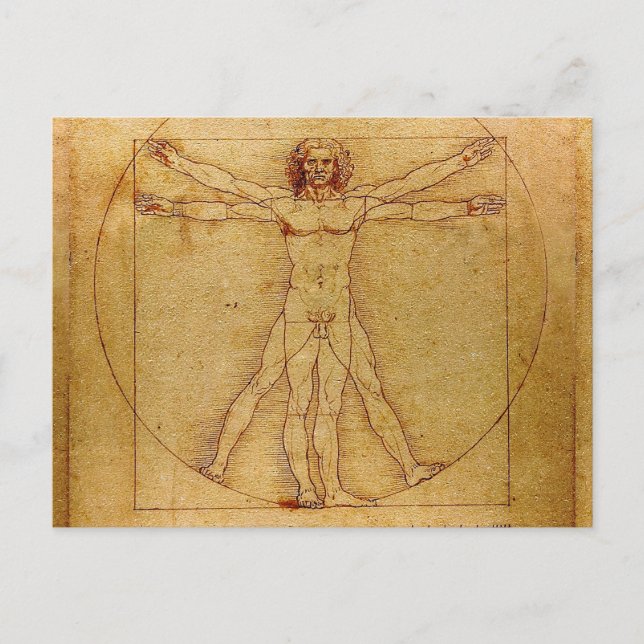 Vitruvian Man By Leonardo Da Vinci Postcard (Front)