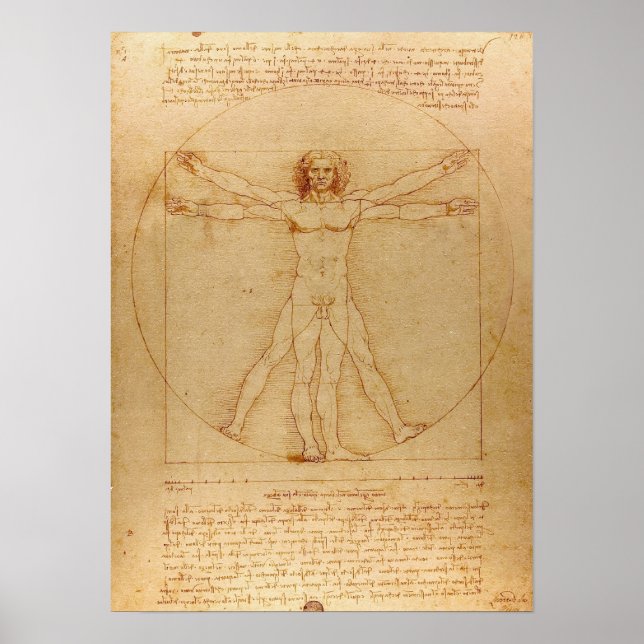 Vitruvian Man by Leonardo da Vinci Poster (Front)