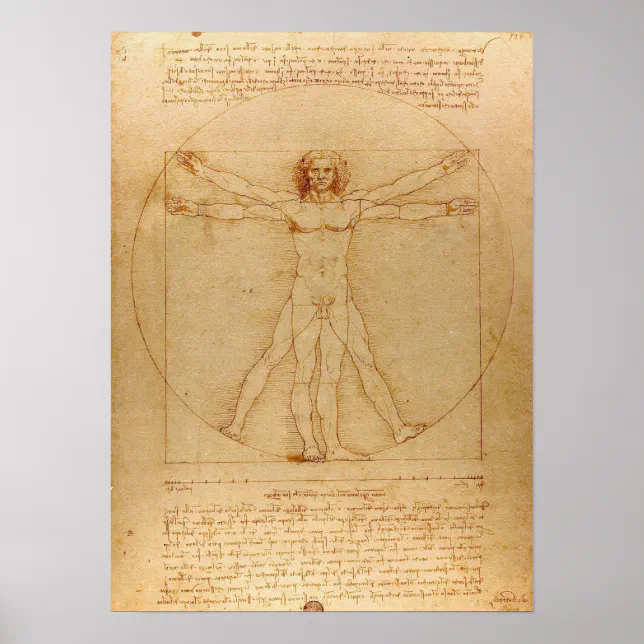 Vitruvian Man by Leonardo da Vinci Poster | Zazzle