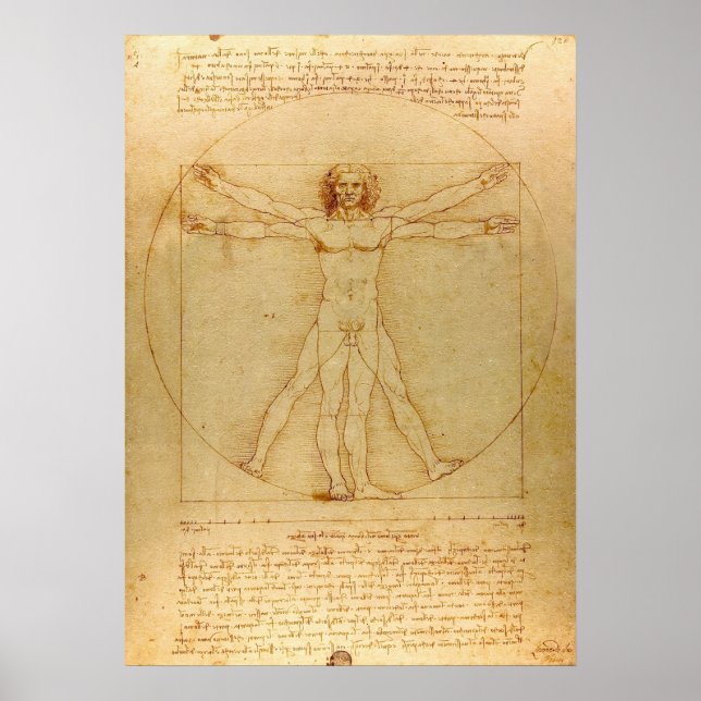 Vitruvian Man by Leonardo da Vinci Poster (Front)