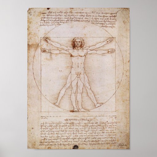 Vitruvian Man By Leonardo Da Vinci Posters Pictures