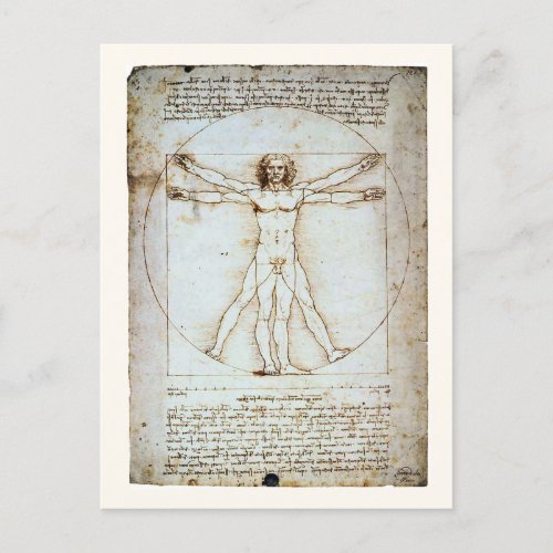 Vitruvian Man c 1490 Leonardo da Vinci Postcard