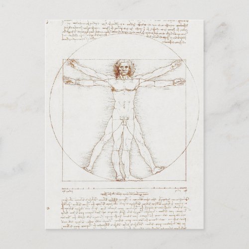 Vitruvian Man Da Vinci  Postcard