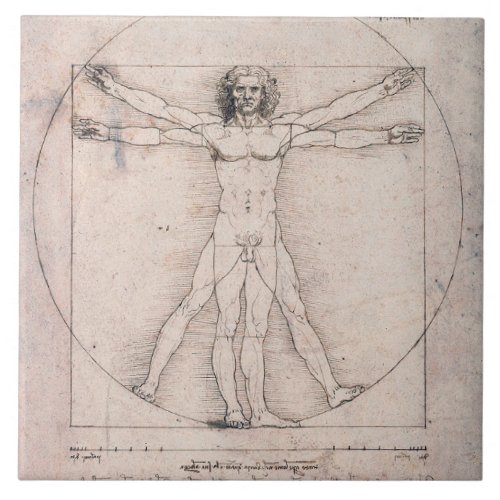 Vitruvian Man Leonardo da Vinci Ceramic Tile