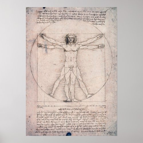 Vitruvian Man Leonardo da Vinci Poster