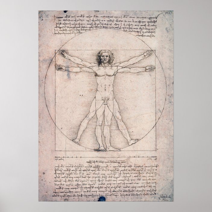 Vitruvian Man Leonardo Da Vinci Poster Zazzle Com   Vitruvian Man Leonardo Da Vinci Poster Rbf8628c44fbe41ef897fd32c19937c79 Osi 8byvr 704 