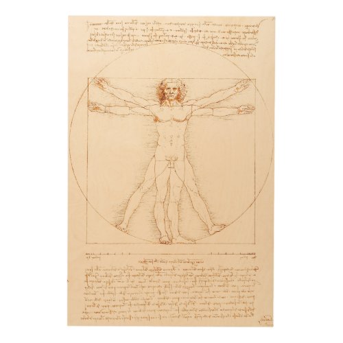 Vitruvian Man  Leonardo da Vinci  Wood Wall Art