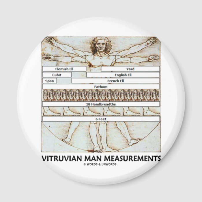 Vitruvian Man Measurements Refrigerator Magnet