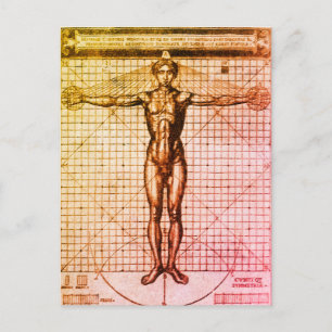 Vitruvian Man (Vitruvius: De architectura) Postcar Postcard