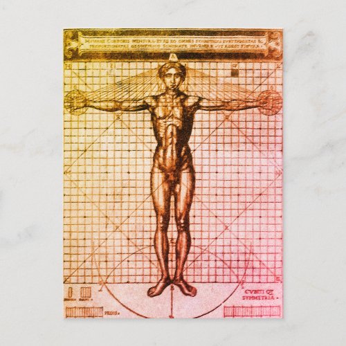 Vitruvian Man Vitruvius De architectura Postcar Postcard