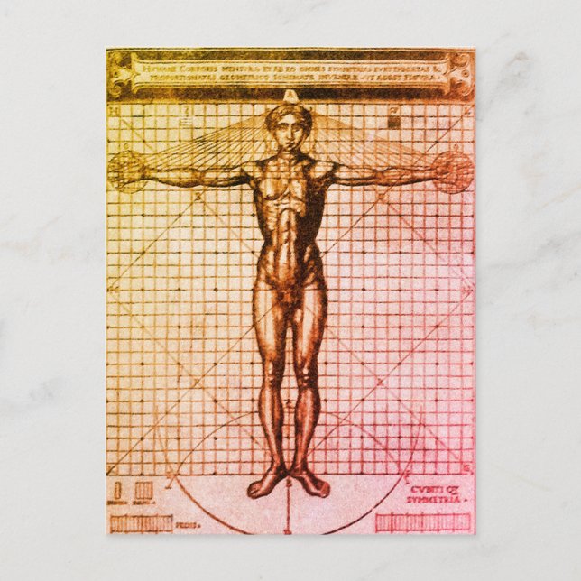 Vitruvian Man (Vitruvius: De architectura) Postcar Postcard (Front)