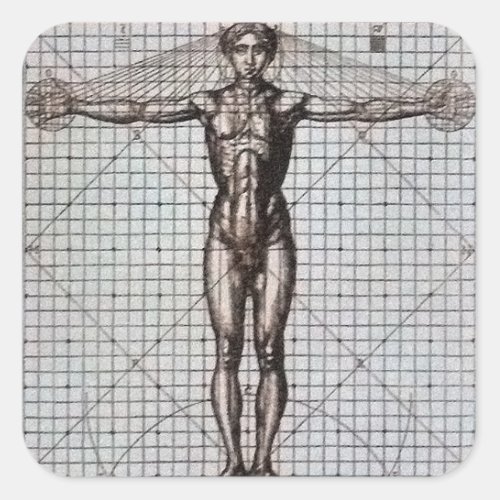 Vitruvian Man Vitruvius De architectura Square Sticker
