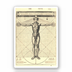 Vitruvian Man (Vitruvius: De architectura) Sticker