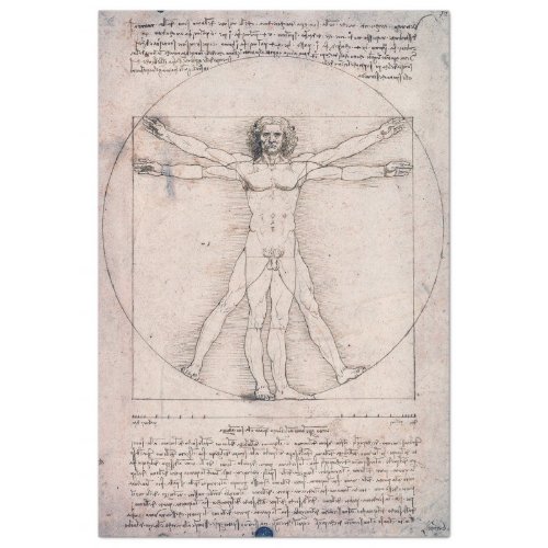 Vitruvian ManVitruvian Man Leonardo da Vinci Tissue Paper